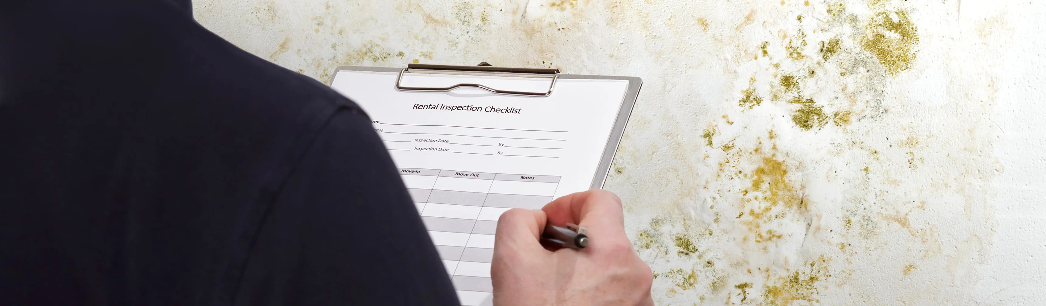 Mold Remediation Reviews