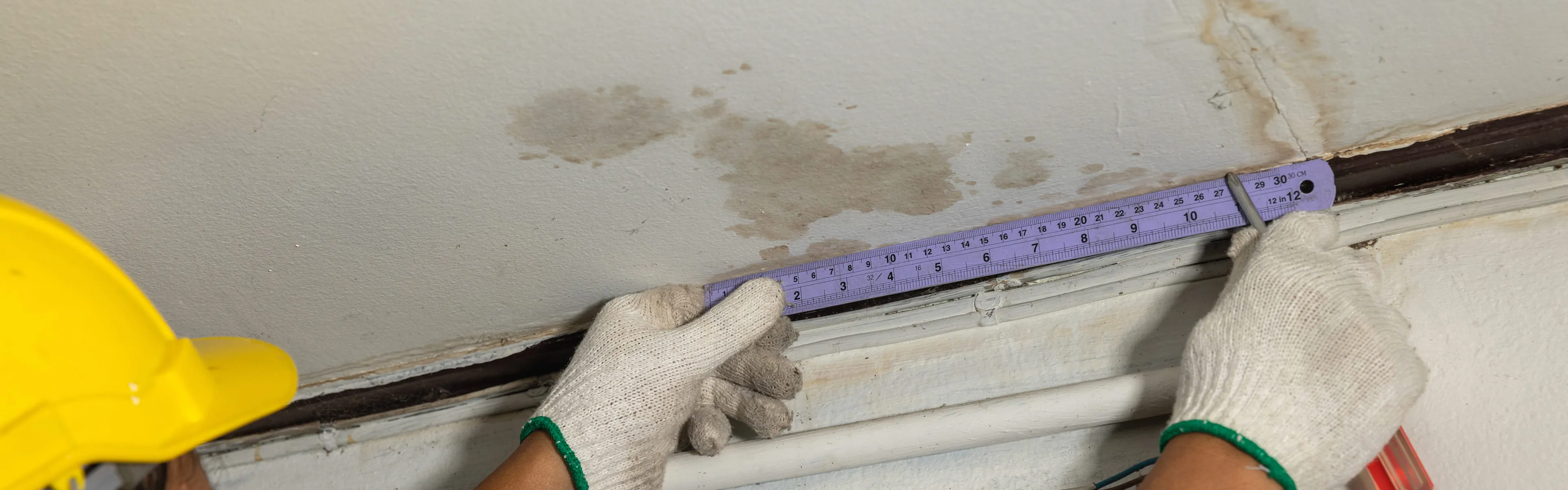 Mold Remediation Reviews