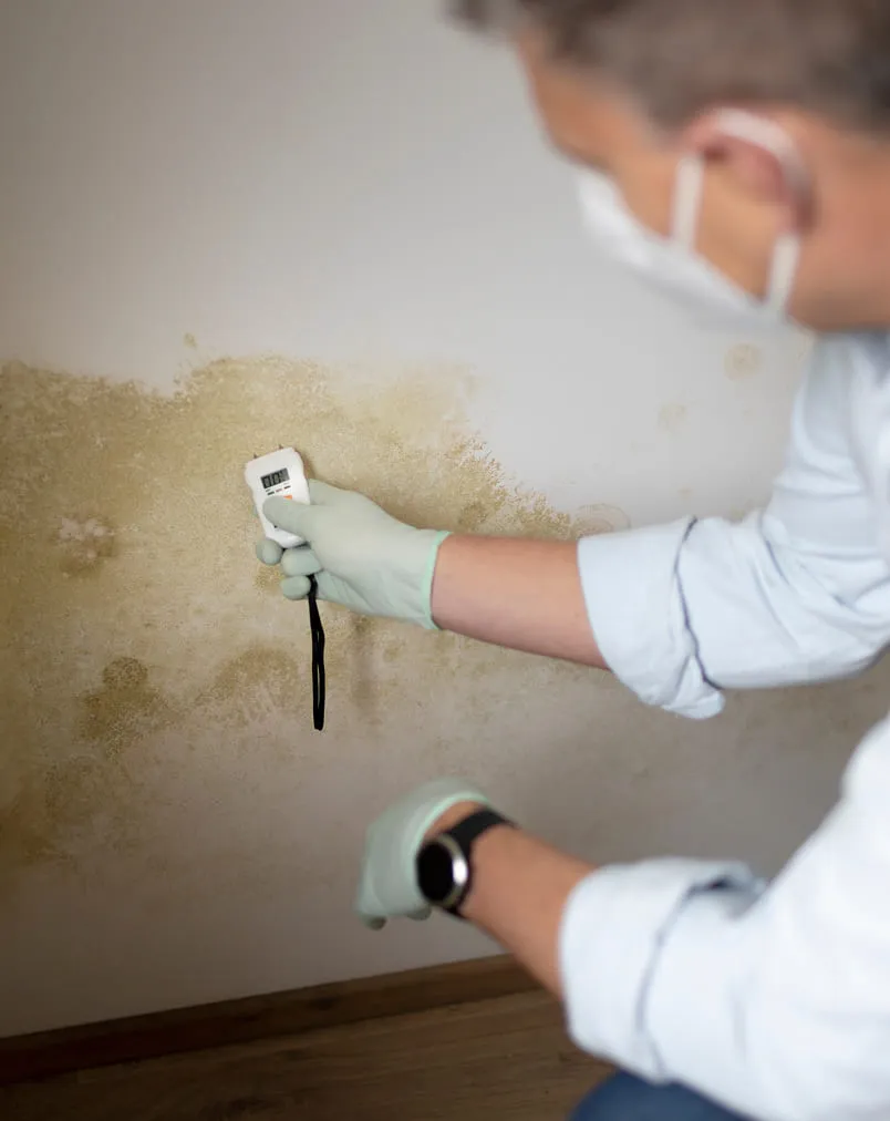 Water Damage Assessments