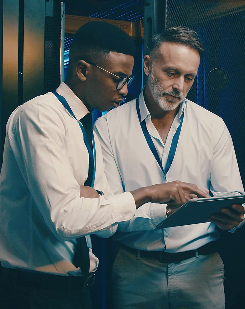 Mold Remediation Reviews